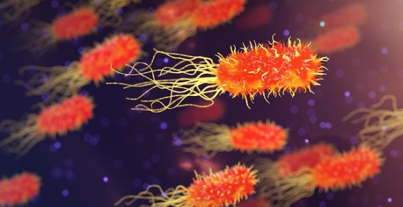 mucoviscidose article